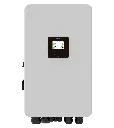 14.webp